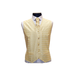 Light Yellow Feather Pattern Vest Set - Front View